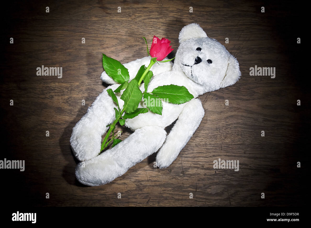 Teddy con una rosa rossa Teddy con una rosa rossa Foto Stock