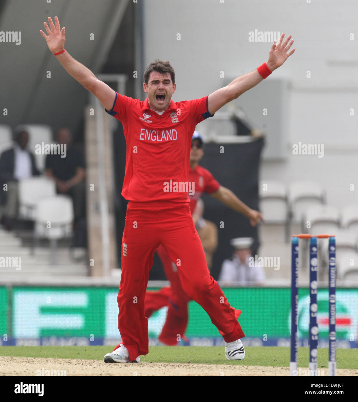 Londra, Regno Unito. 19 giugno 2013. James Anderson di Inghilterra trappole Robin Peterson del Sud Africa per LBW durante l'ICC campioni Trofeo fixture Semi-Final tra Inghilterra e Sud Africa da ovale. Credito: Azione ImagesSports Plus Immagini/Alamy Live News Foto Stock
