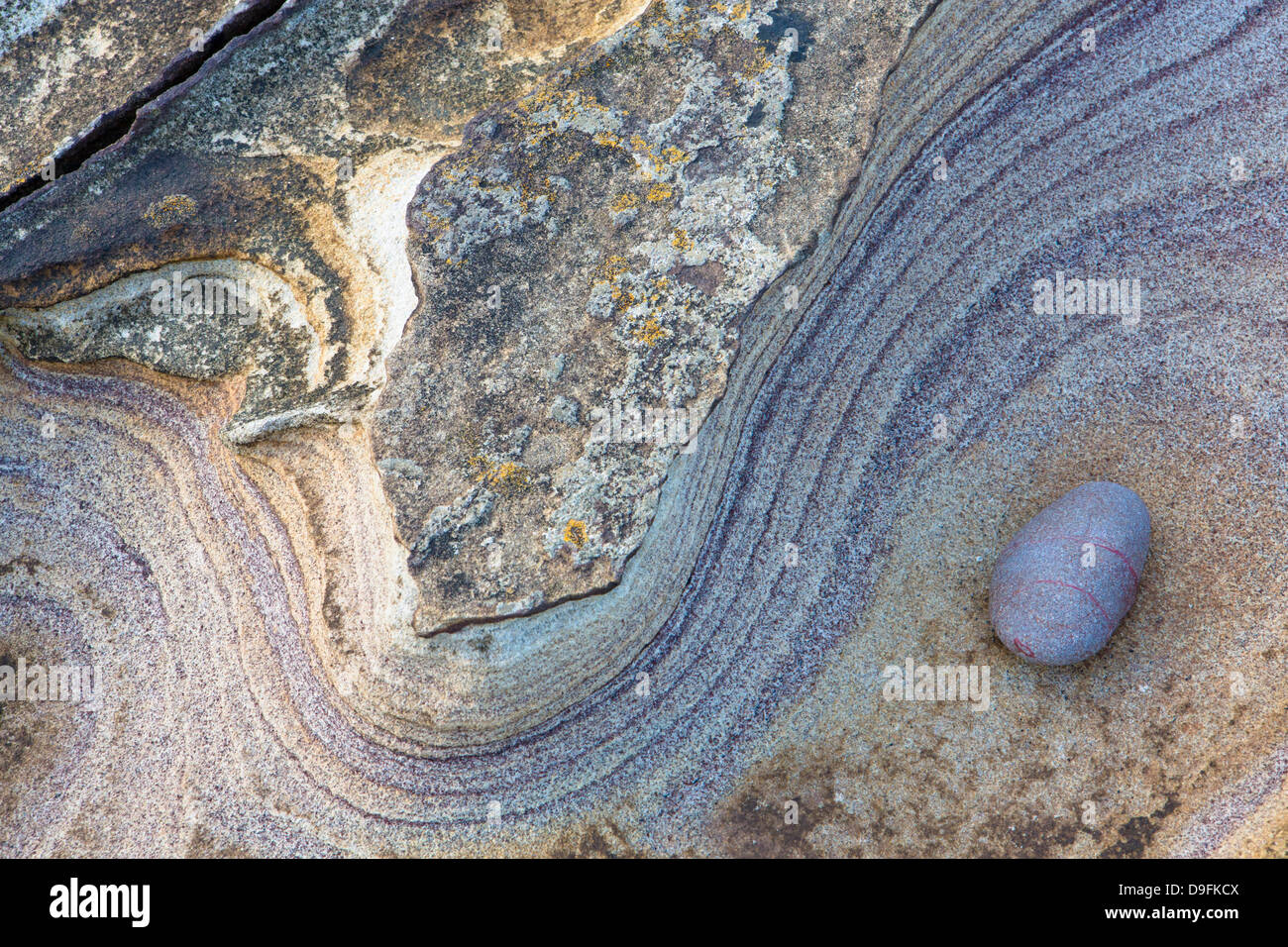 I disegni creati da erosione del mare sulle rocce a Rumbling Kern, vicino Howick, Alnwick, Northumberland, England, Regno Unito Foto Stock