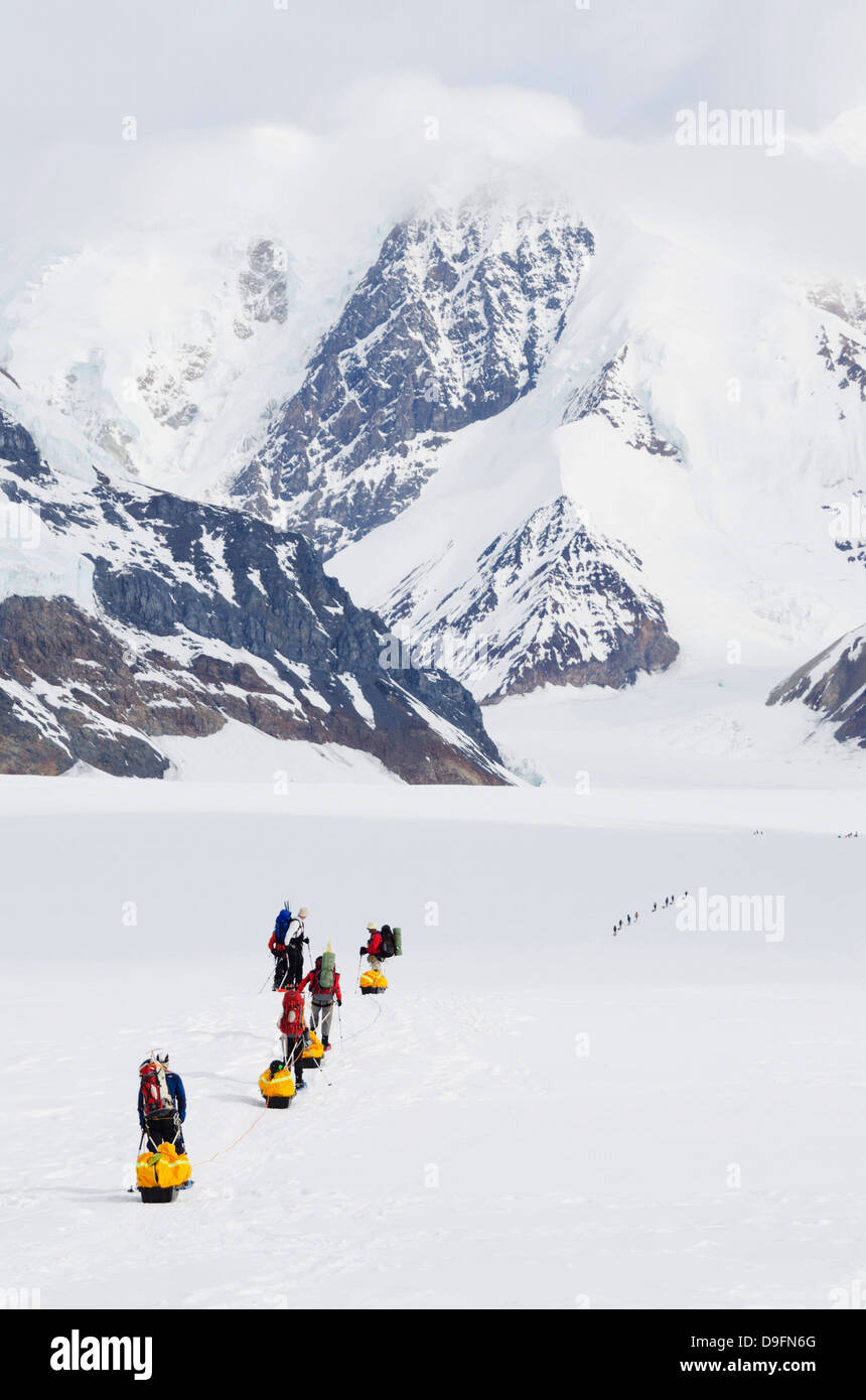 Escursione di alpinismo lasciando il campo base del Monte McKinley, 6194m, Parco Nazionale di Denali, Alaska, STATI UNITI D'AMERICA Foto Stock