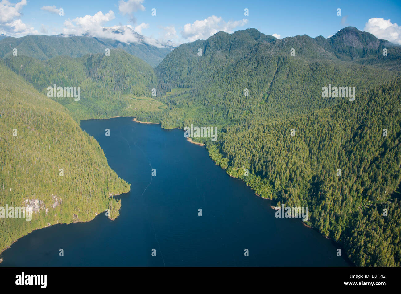 Paesaggi costieri in grande orso nella foresta pluviale, British Columbia, Canada Foto Stock