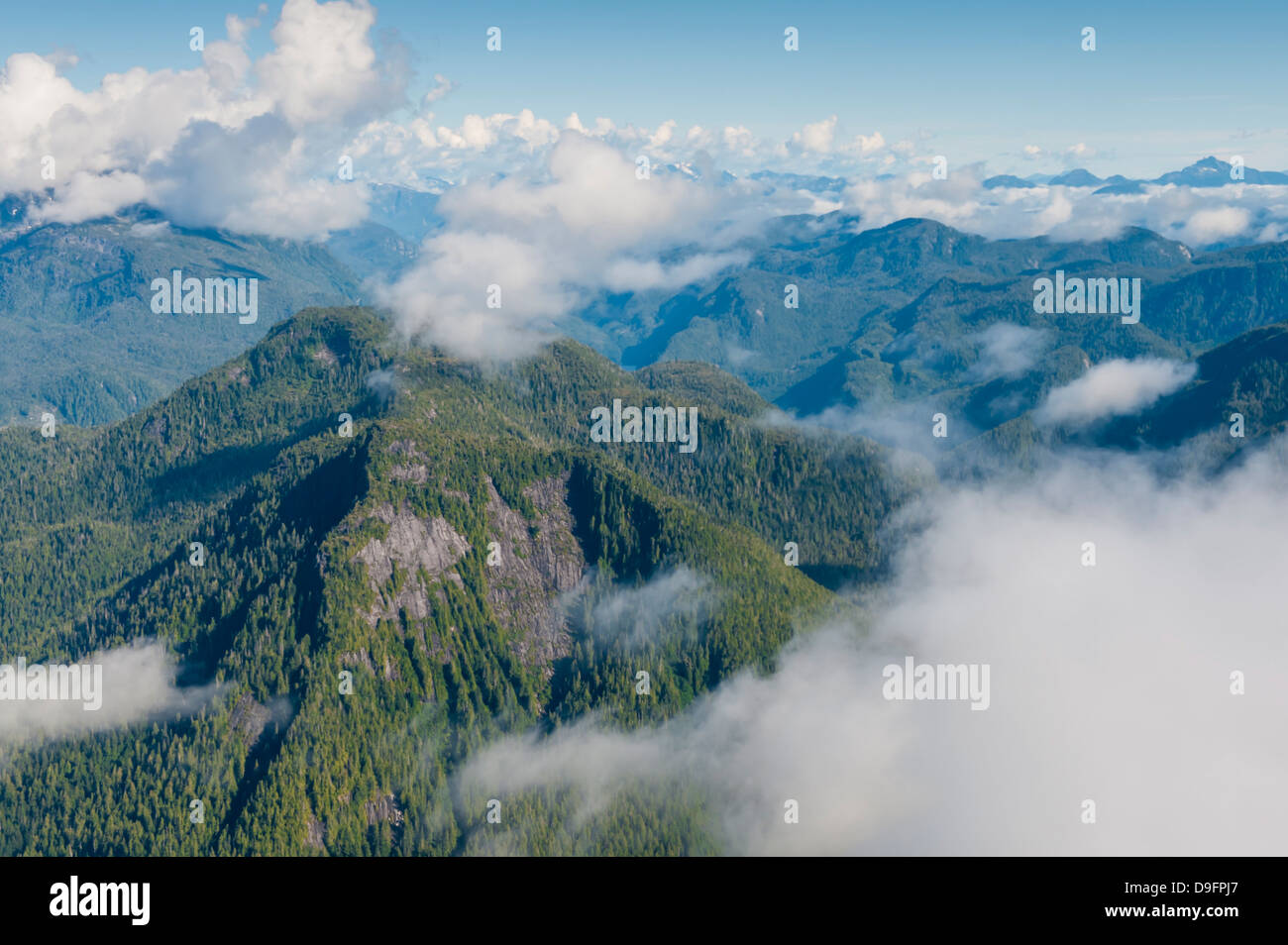 Paesaggi costieri in grande orso nella foresta pluviale, British Columbia, Canada Foto Stock