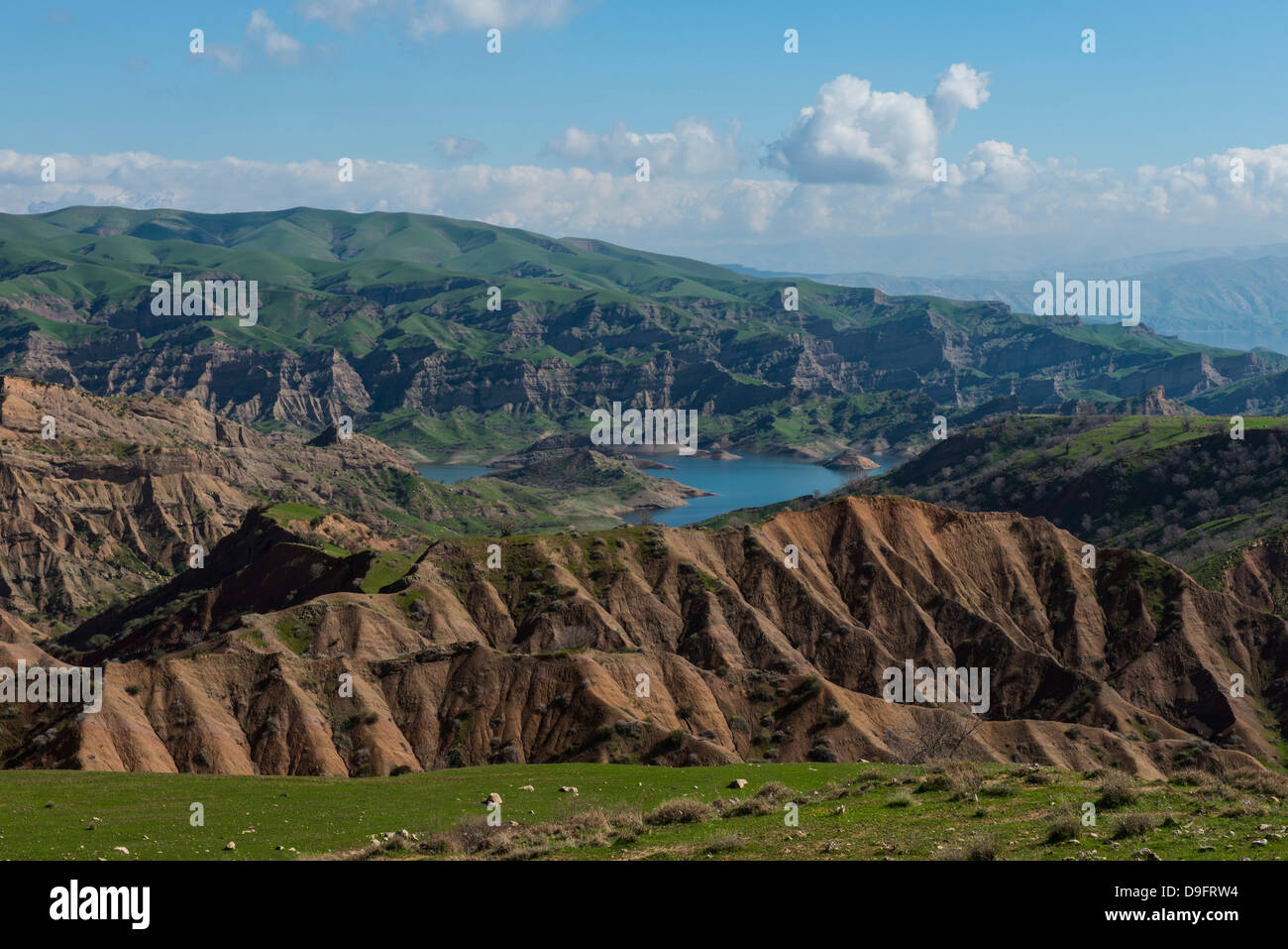 Lo scenario verde intorno al Darbandikhan lago artificiale sul confine di Iran, Iraq Kurdistan, Iraq, Medio Oriente Foto Stock