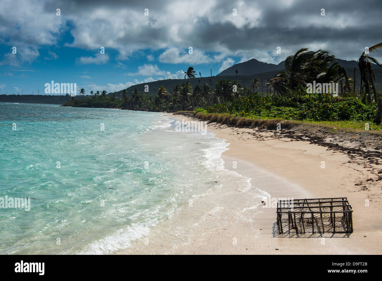 Spiaggia di Long Haul Bay, Isola di Nevis, Saint Kitts e Nevis, Isole Sottovento, West Indies, dei Caraibi Foto Stock