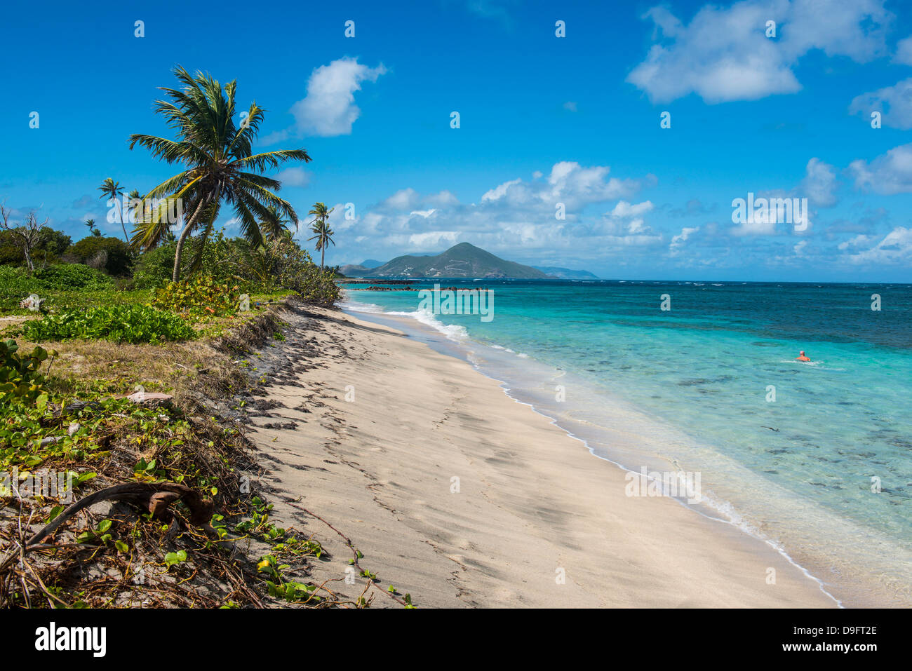 Spiaggia di Long Haul Bay, Isola di Nevis, Saint Kitts e Nevis, Isole Sottovento, West Indies, dei Caraibi Foto Stock