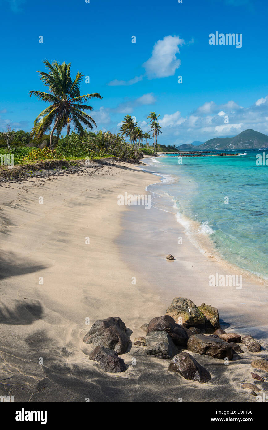 Spiaggia di Long Haul Bay, Isola di Nevis, Saint Kitts e Nevis, Isole Sottovento, West Indies, dei Caraibi Foto Stock