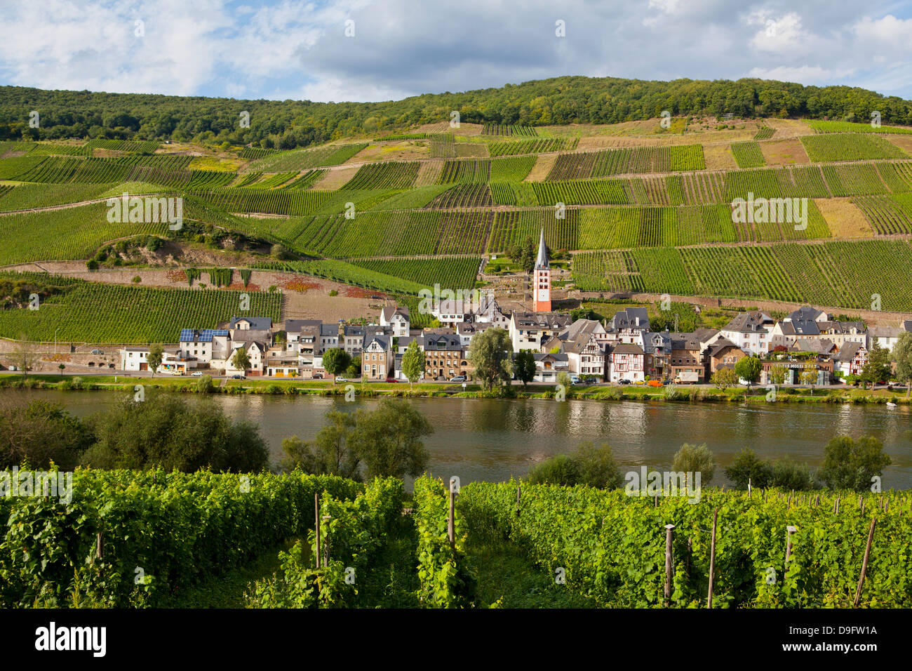 Mosella, Germania Foto Stock