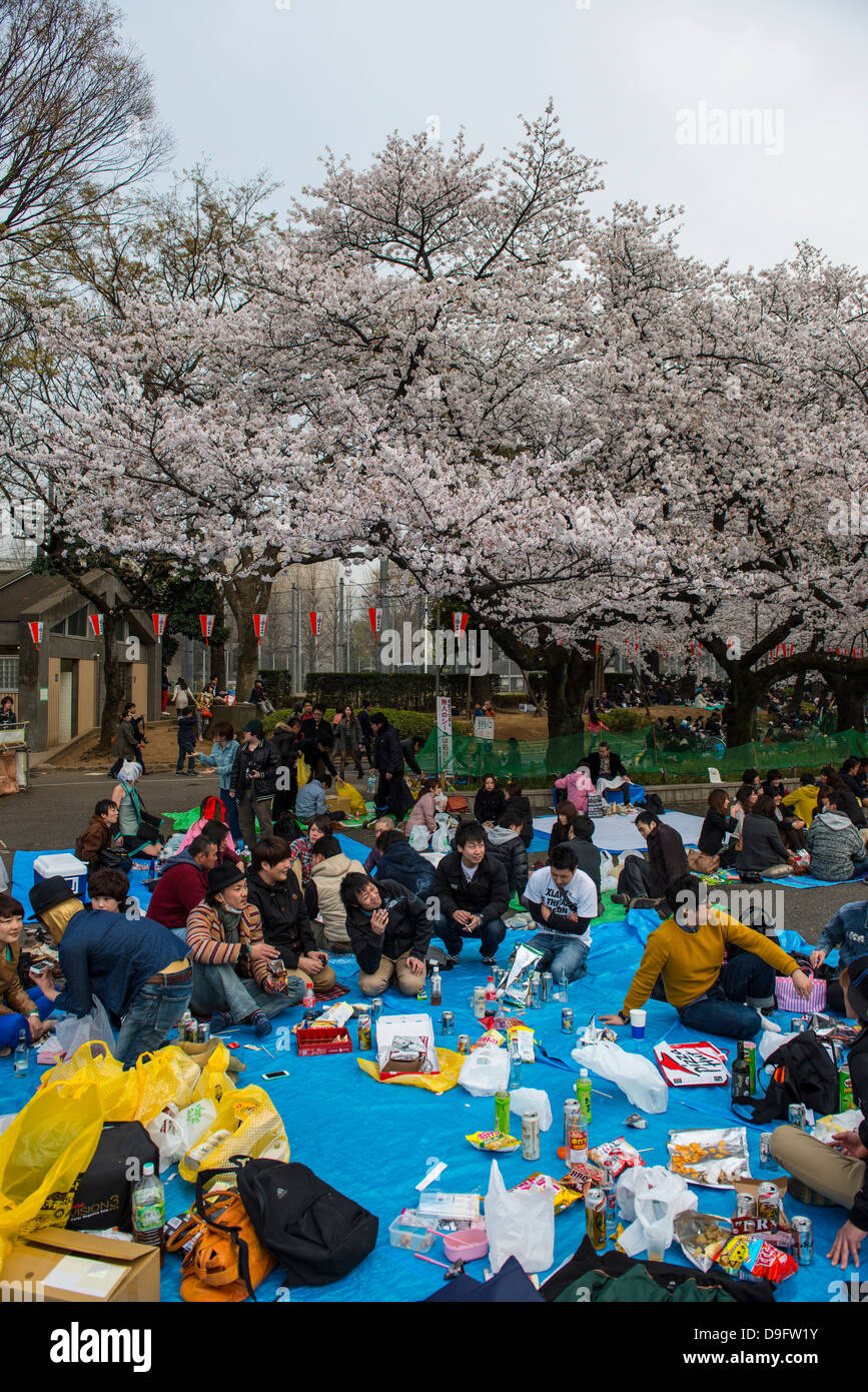 Pic-nic sotto la fioritura dei ciliegi nel Parco di Ueno, Tokyo, Giappone Foto Stock