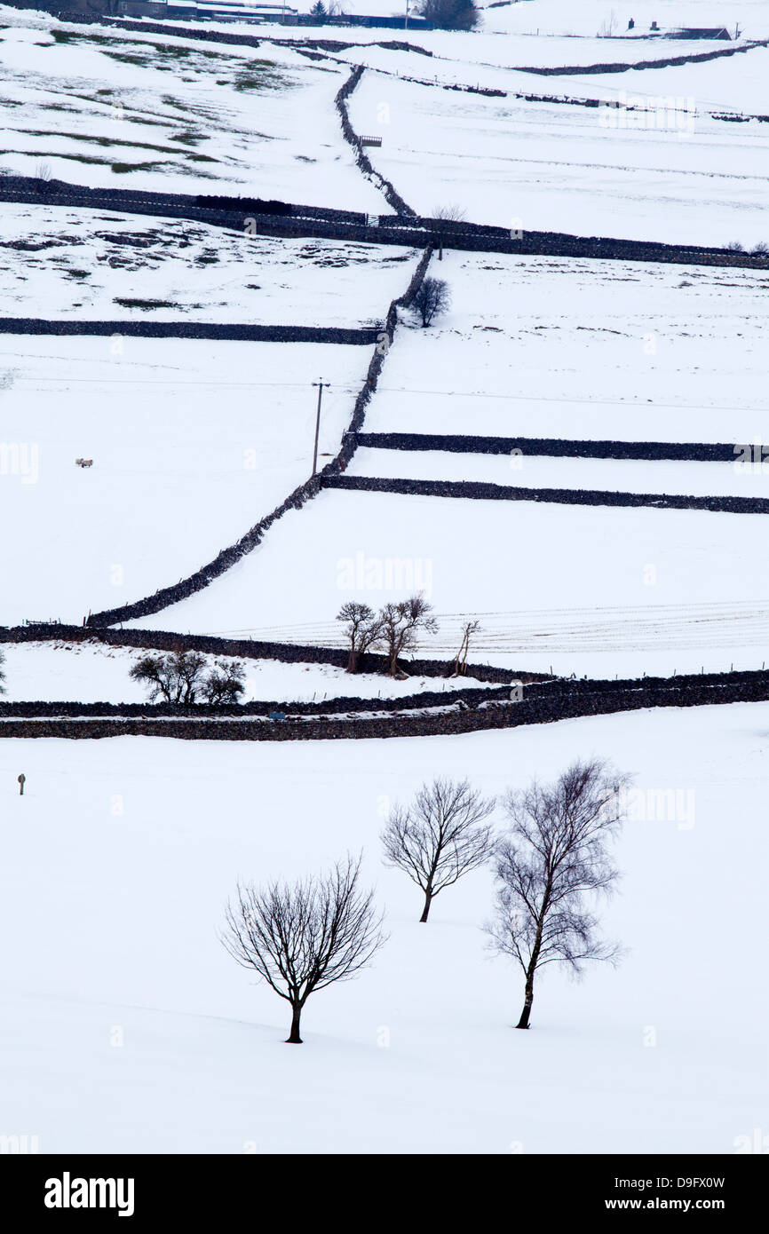 Campi d'inverno vicino Burnsall, nello Yorkshire, Inghilterra, Regno Unito Foto Stock