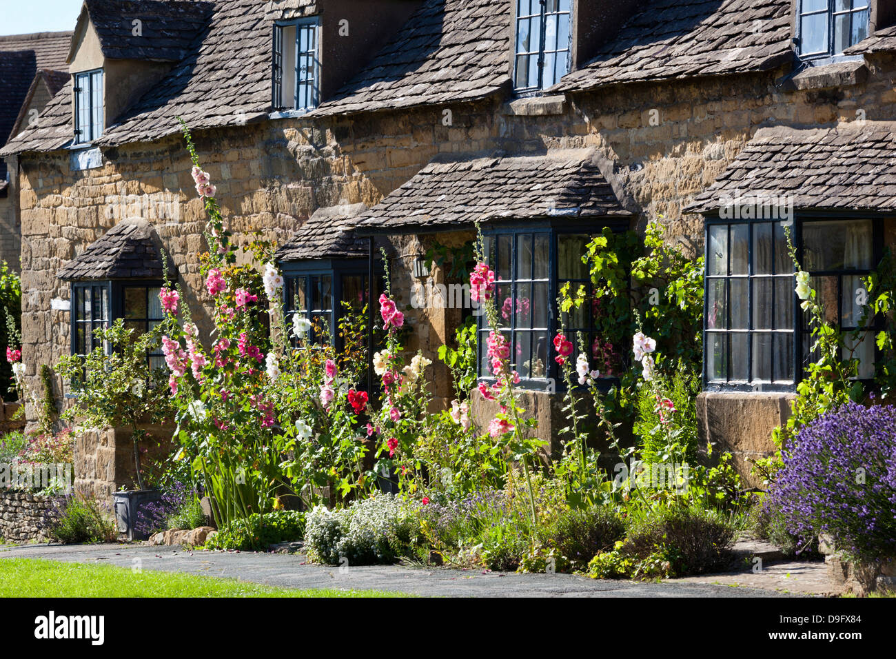 Hollyhocks e Cotswold cottage, Broadway, Worcestershire, Cotswolds, England, Regno Unito Foto Stock