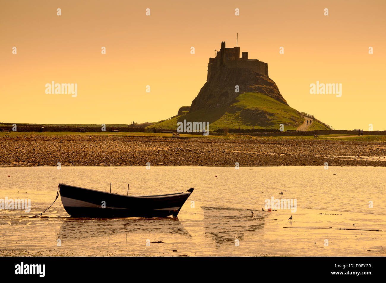 Lindisfarne Castle, Northumberland, Inghilterra, Regno Unito. vista con luce dorata Foto Stock