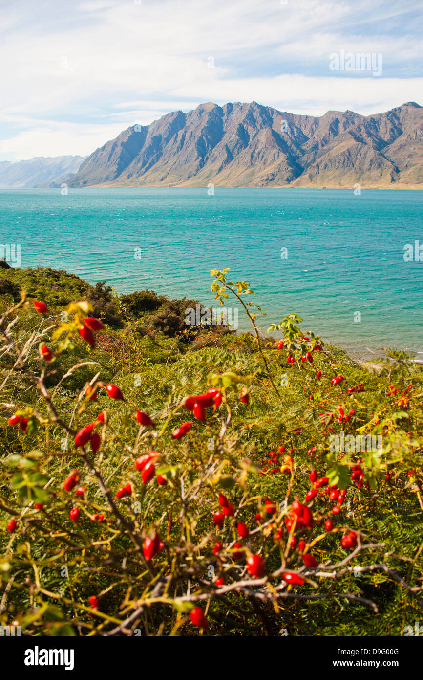 Lago Hawea, Alpi del Sud Mountain Range, nella costa occidentale dell'Isola del Sud, Nuova Zelanda Foto Stock