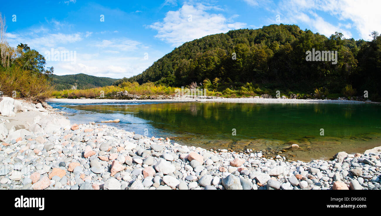 Buller Fiume Buller Gorge, nella costa occidentale dell'Isola del Sud, Nuova Zelanda Foto Stock