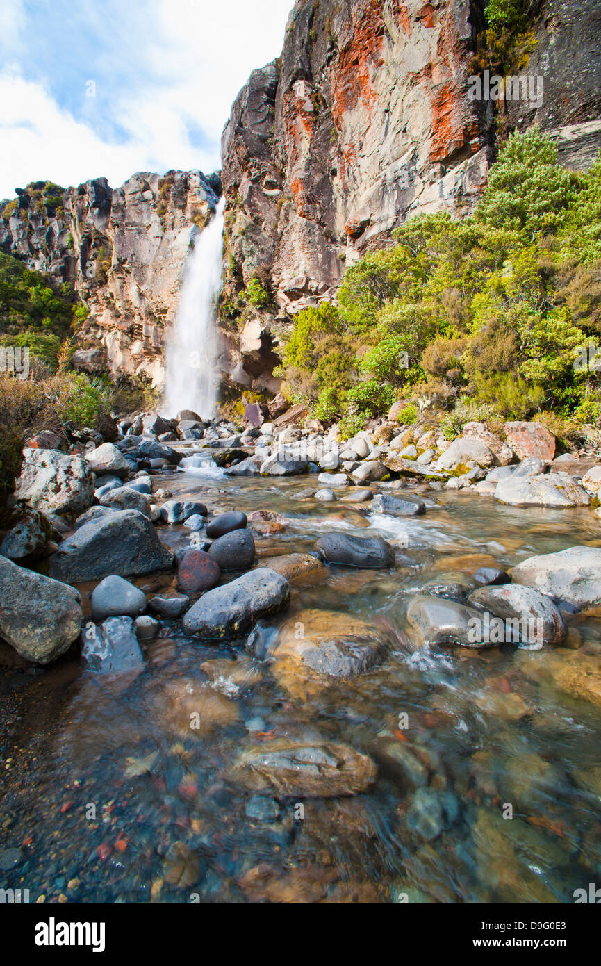 Taranaki Falls, River Valley, parco nazionale di Tongariro, Sito Patrimonio Mondiale dell'UNESCO, Isola del nord, Nuova Zelanda Foto Stock