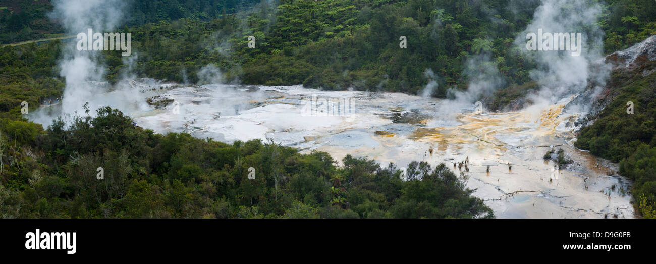 Cottura a vapore area geotermica di Orakei Korako parco termale, la valle nascosta, Isola del nord, Nuova Zelanda Foto Stock