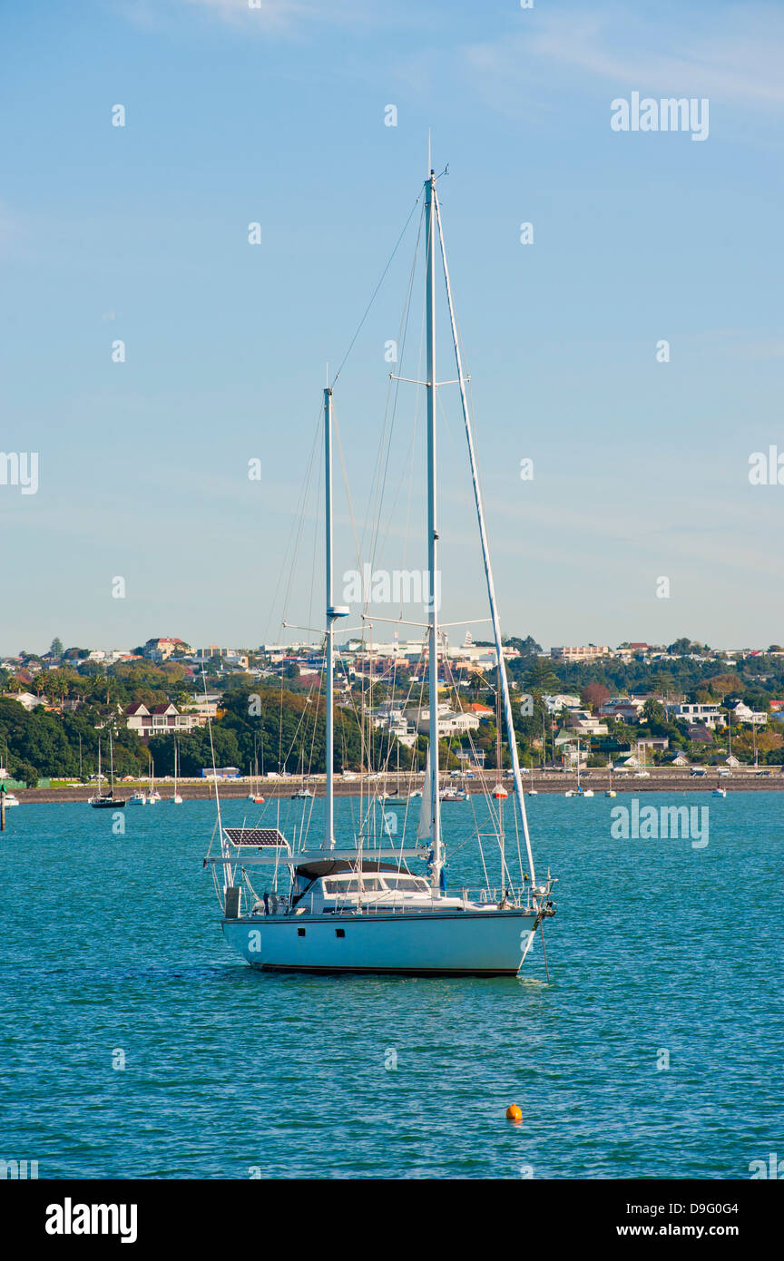 Imbarcazione a vela nel porto di Waitemata di Auckland, Isola del nord, Nuova Zelanda Foto Stock