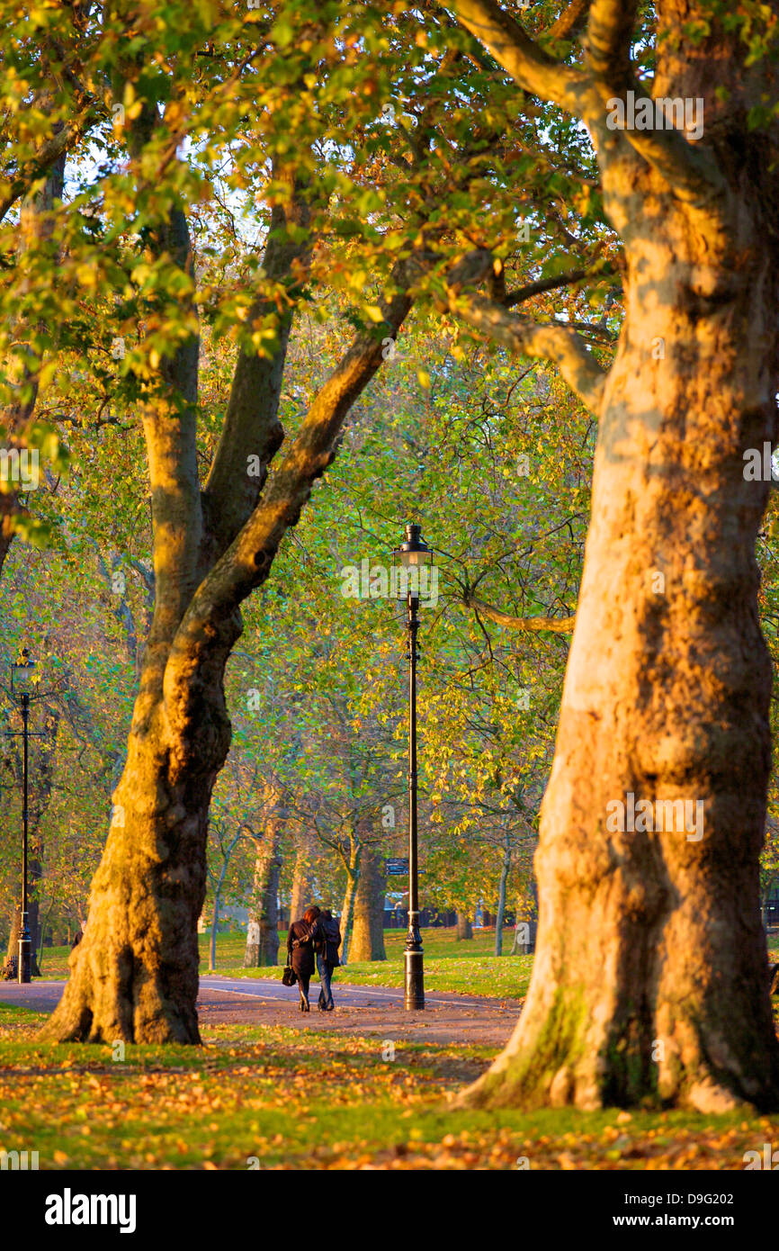 Camminare in un autunnale di Hyde Park, London, England, Regno Unito Foto Stock