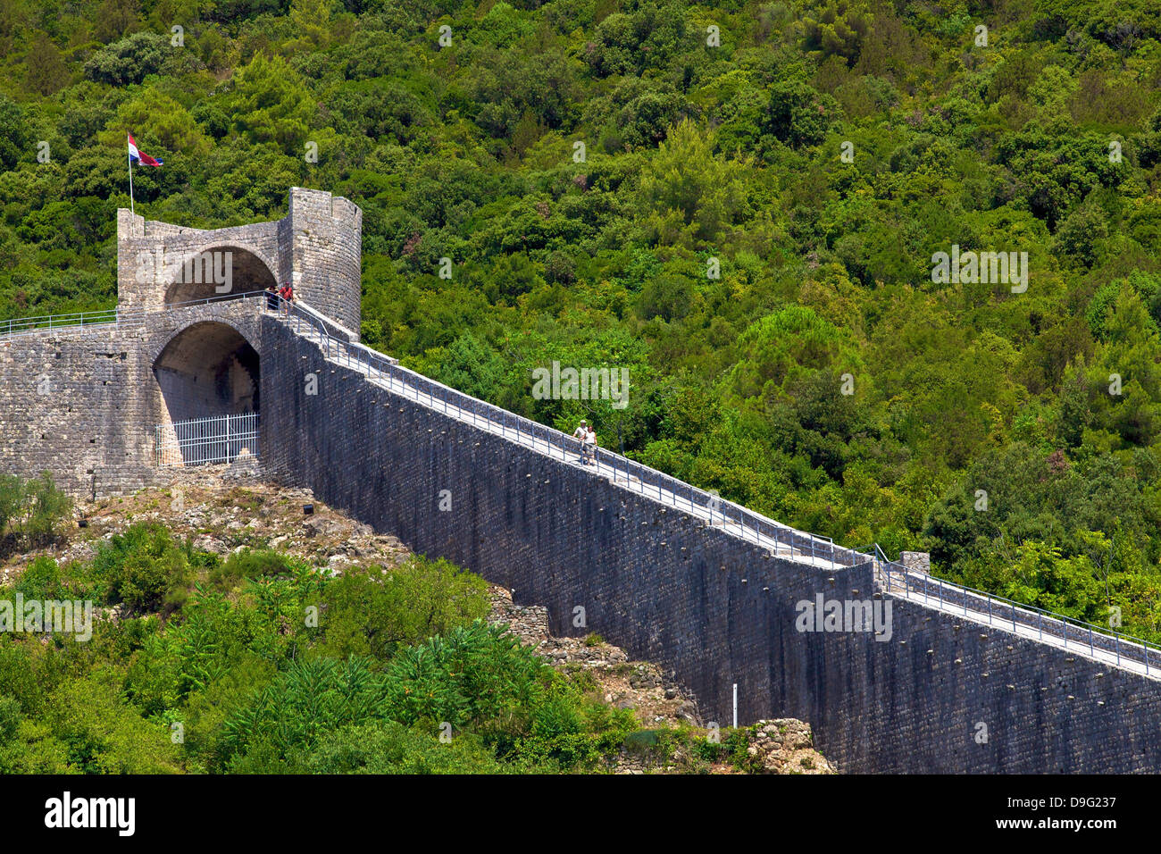 Mura di Ston, Ston, Dalmazia, Croazia Foto Stock