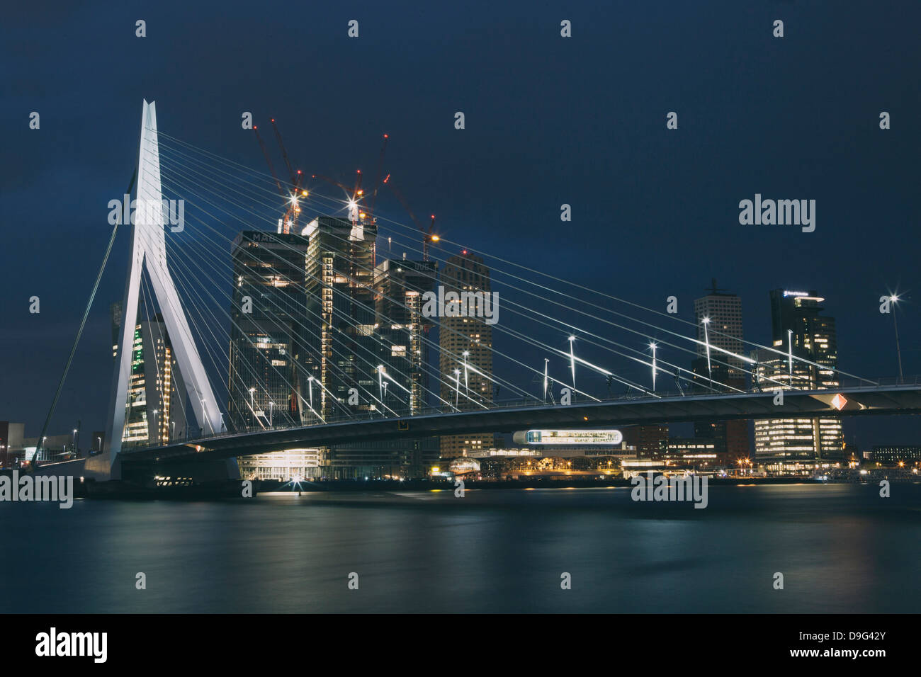 Erasmusbrug (Ponte Erasmus) attraversando la Nieuwe Maas River, di notte, Rotterdam South Holland, Paesi Bassi (Olanda) Foto Stock