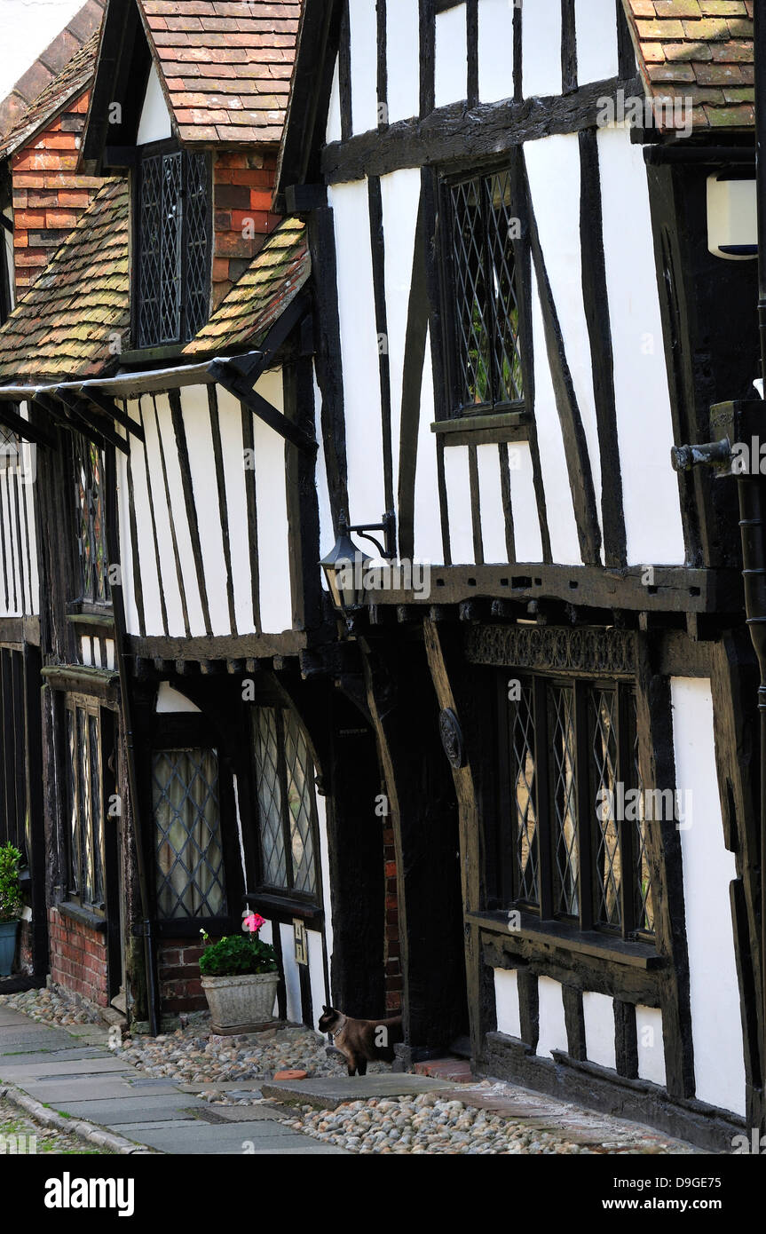 Segale, East Sussex, Inghilterra, Regno Unito. Bianco e nero semi-case con travi di legno in piazza della chiesa Foto Stock