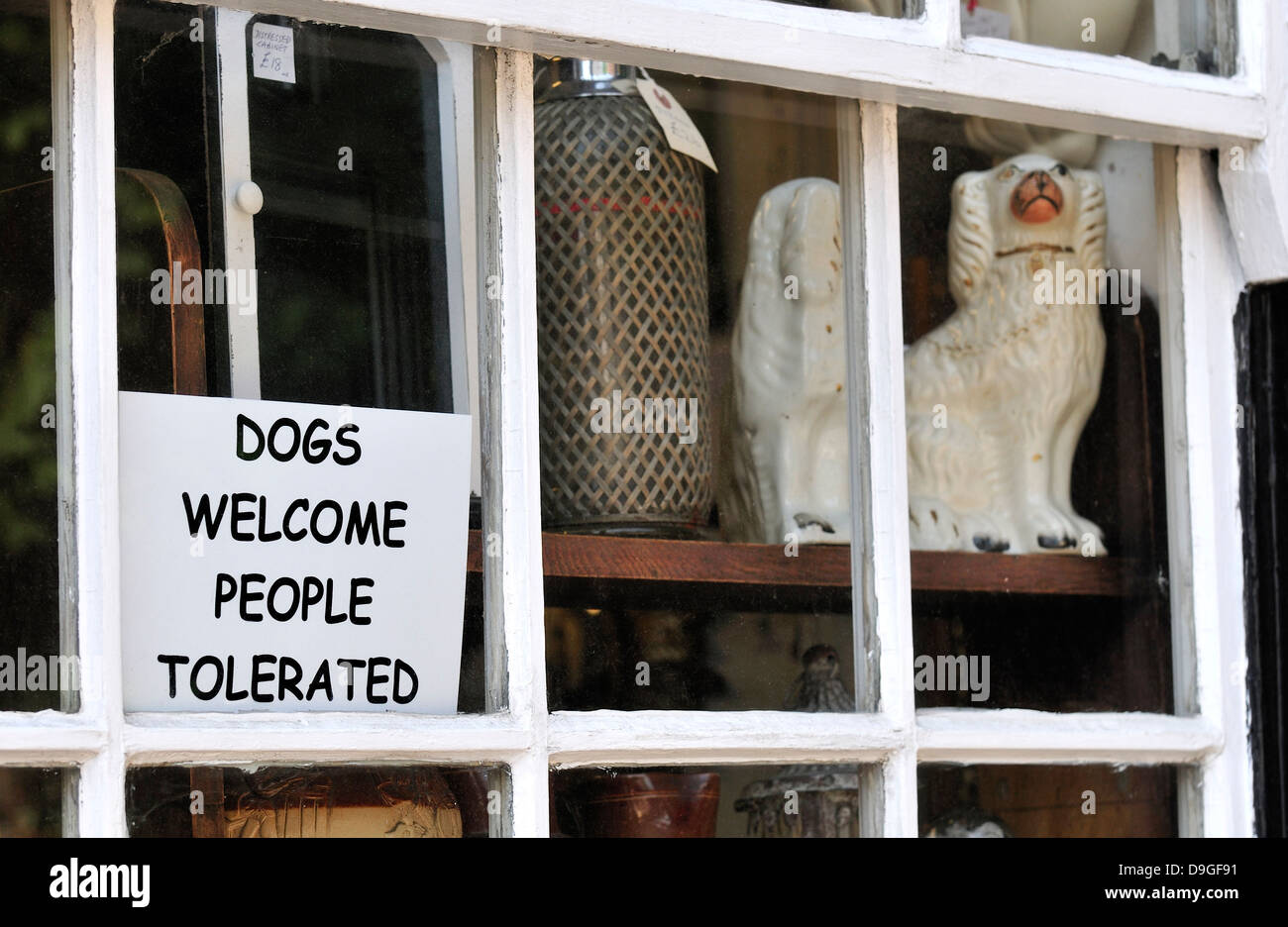 Segale, East Sussex, Inghilterra, Regno Unito. Negozio di antiquariato finestra. 'Dogs benvenuti - Persone tollerata' Foto Stock