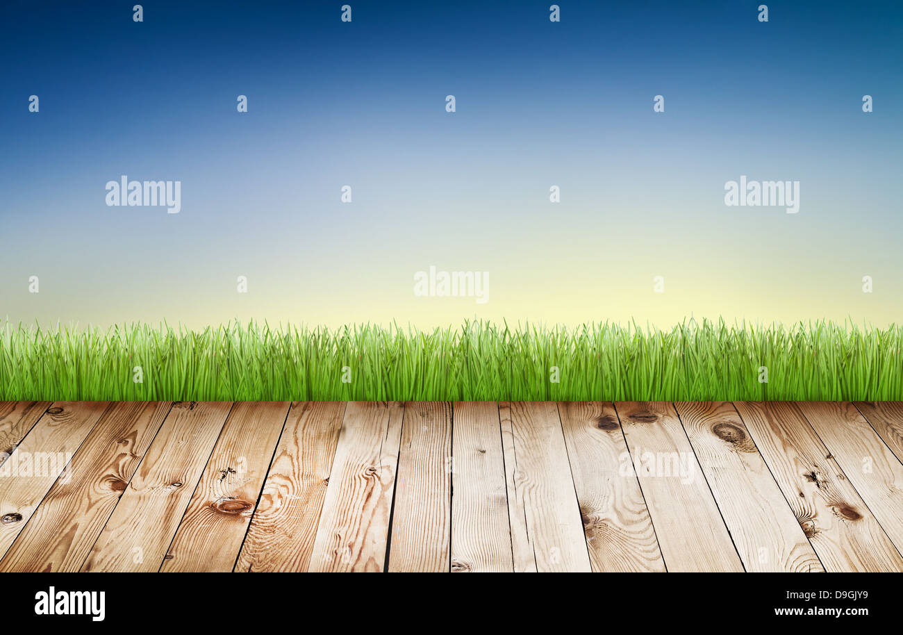 Molla di fresca erba verde con il blu del cielo e pavimento in legno Foto Stock