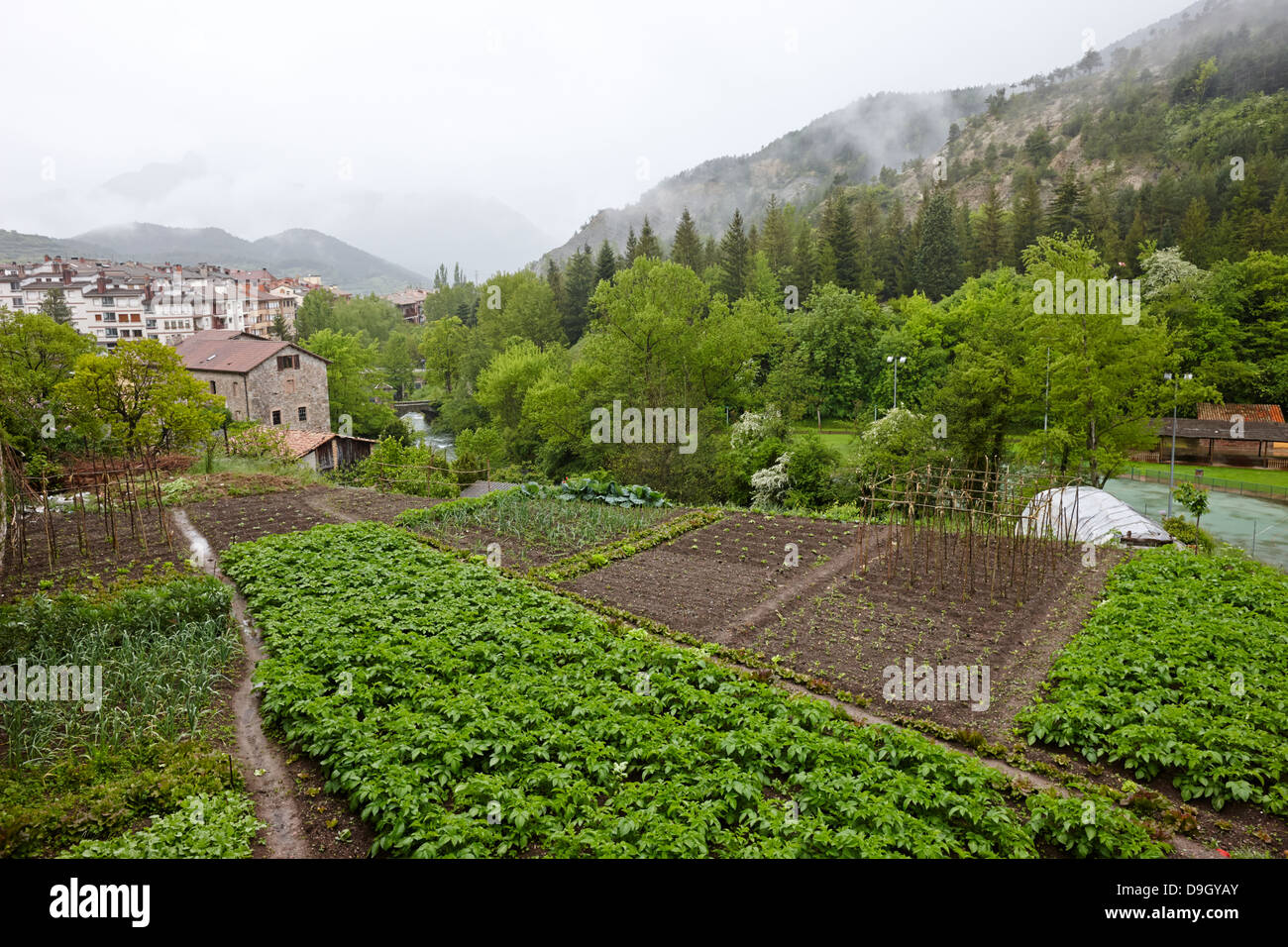 Orti nella vecchia città medievale di baga cadi mountain range Catalogna SPAGNA Foto Stock