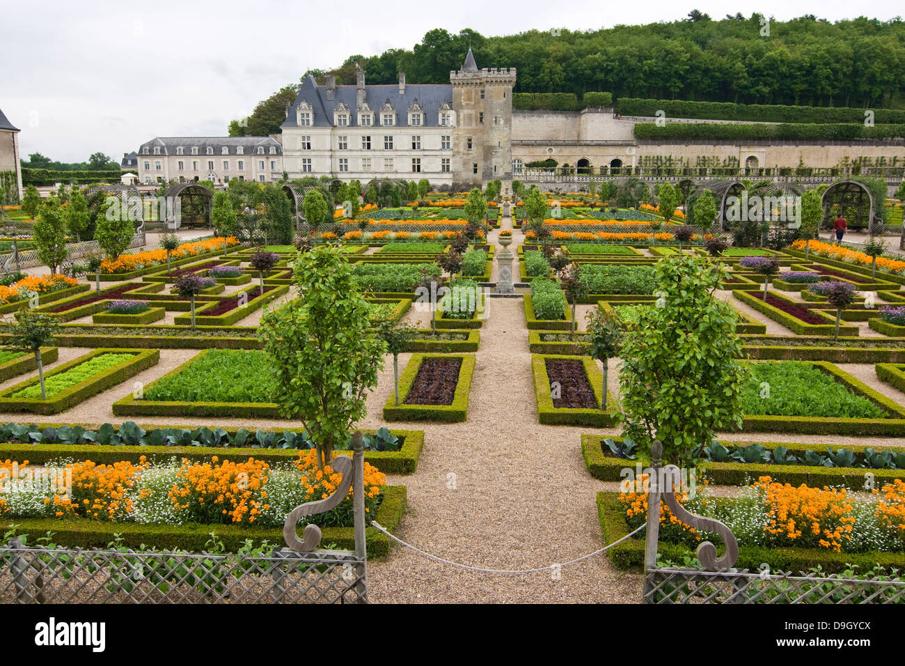 Villandry: Gemüsegarten mit Blick Zum Schloss; vista del castello Villandry attraverso i suoi giardini vegetali Foto Stock