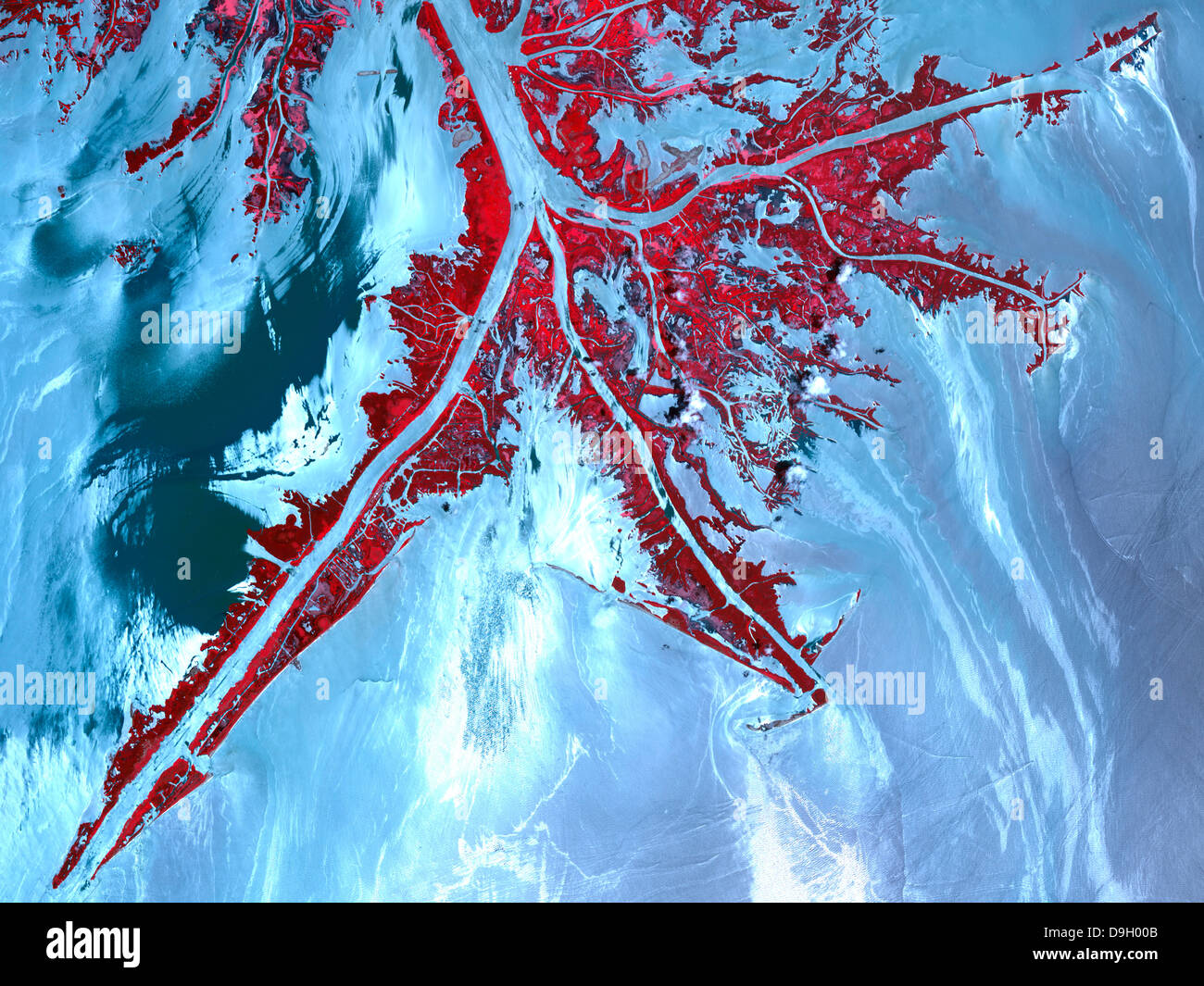 Il falso colore vista satellitare della punta estrema del Mississippi River Delta. Foto Stock