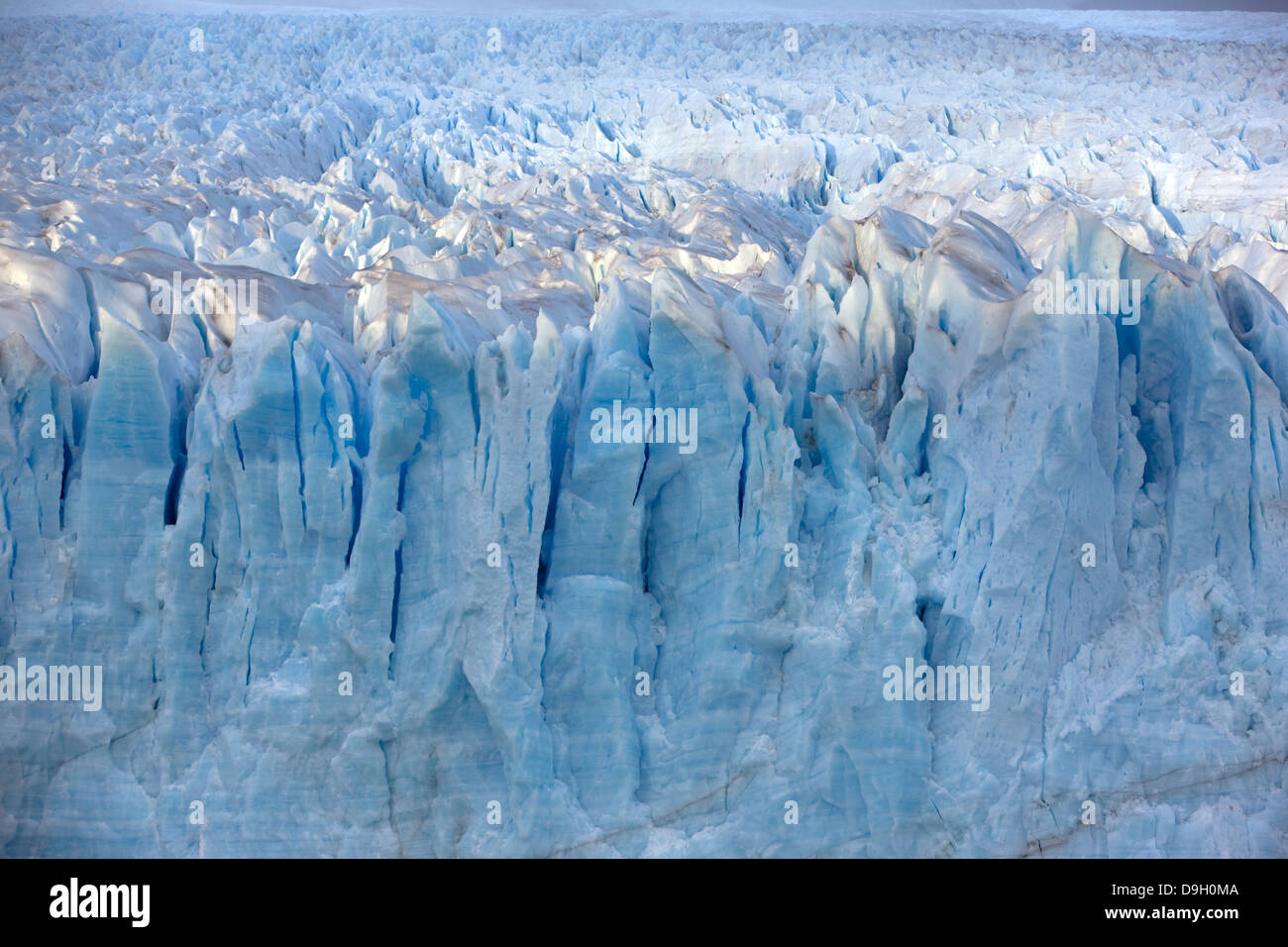 Ghiacciaio Perito Moreno. Questo ghiacciaio proviene dalla Patagonia meridionale del campo di ghiaccio. Foto Stock