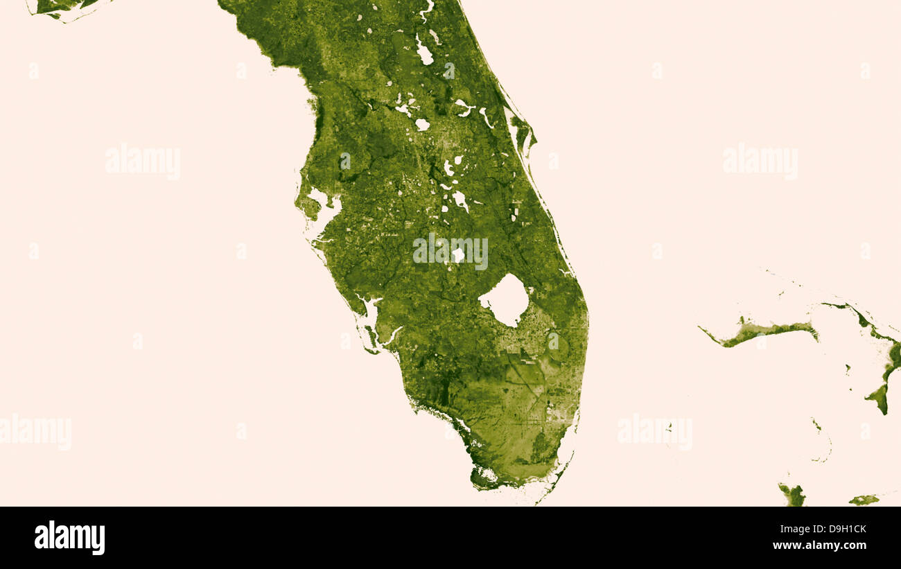 Immagine della NASA della Florida ha creato da un anno un valore di dati che riflettono condizioni di vegetazione di tutto il mondo utilizzando sfumature di verde Giugno 19, 2013. "Un fiume d'erba" che si estende a sud del lago Okeechobee mostra come la zona è stata modificata da uomo con aree visibili dense di agricoltura, proliferazione urbana e la conservazione di acqua zone delimitate da una serie di canali navigabili che si snodano nella Florida meridionale. L'immagine è stata inviata nuovamente a terra dal Visible-Infrared Imager/Radiometer Suite strumento a bordo della Suomi polare nazionale-satellite orbitante da marzo 18-24, 2013. Foto Stock