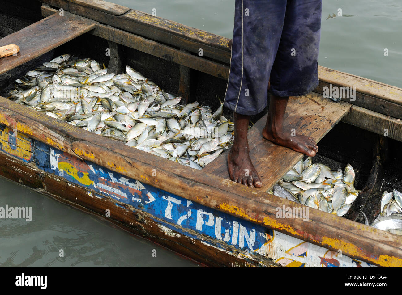 LA SIERRA LEONE, la Penisola Occidentale, il porto di pescatori di Tombo, la sicurezza alimentare e il sostentamento dei piccoli pescatori costieri sono colpiti dalla grande flotta di pescherecci da traino Foto Stock