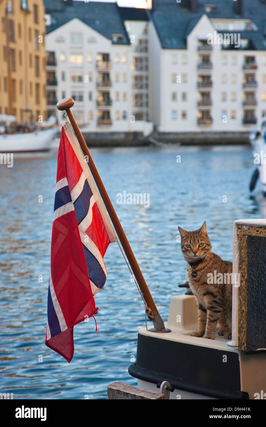 Gatto seduto su una barca ormeggiata lungo Alesund Harbour, ri-costruito in stile Liberty, in stile Art Nouveau, più e Romsdal, Norvegia e Scandinavia Foto Stock