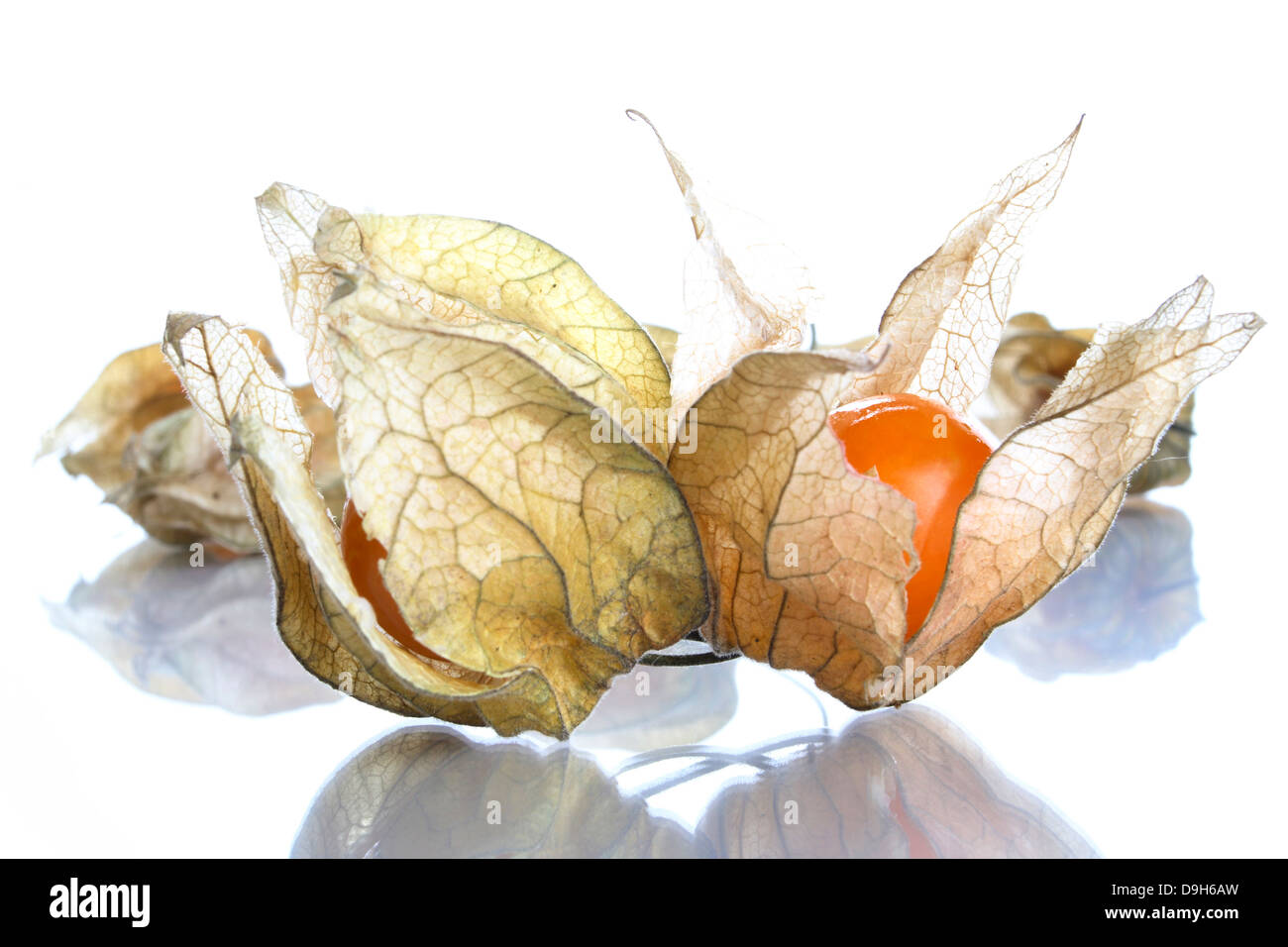 Physalis - cibo Foto Stock