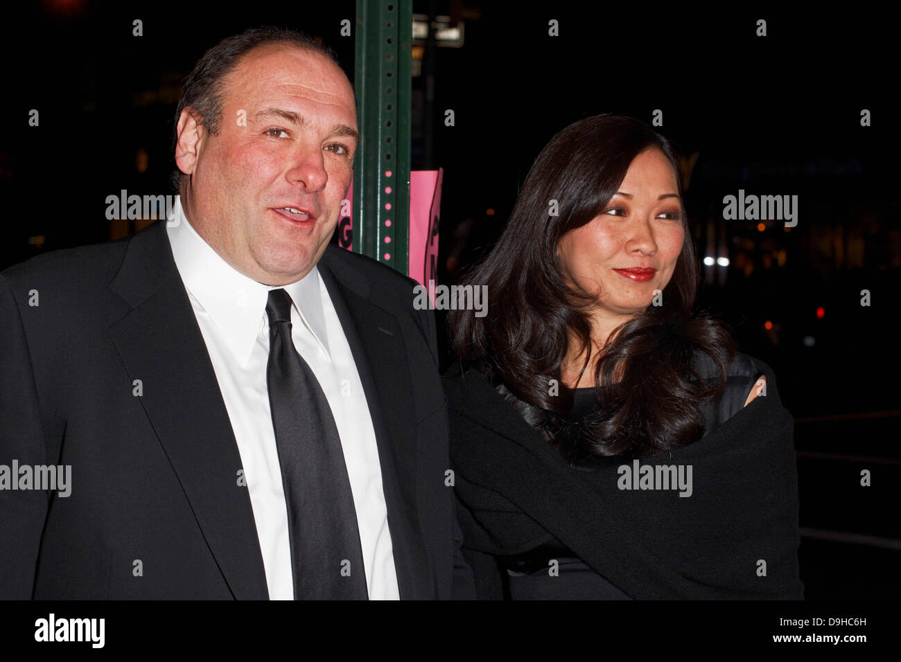 NEW YORK - File foto- Jan 11, 2010- James Gandolfini e sua moglie Deborah Lin arrivare per la New York Film Critics Circle Awards di New York City. Gandolfini muore in Italia il 19 giugno 2013. Foto Stock