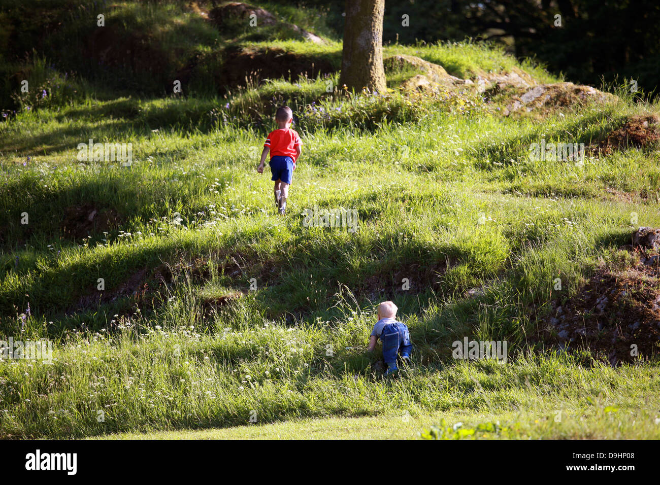 Ragazzi giocare sotto il sole a Grizedale forest campeggio. Foto Stock