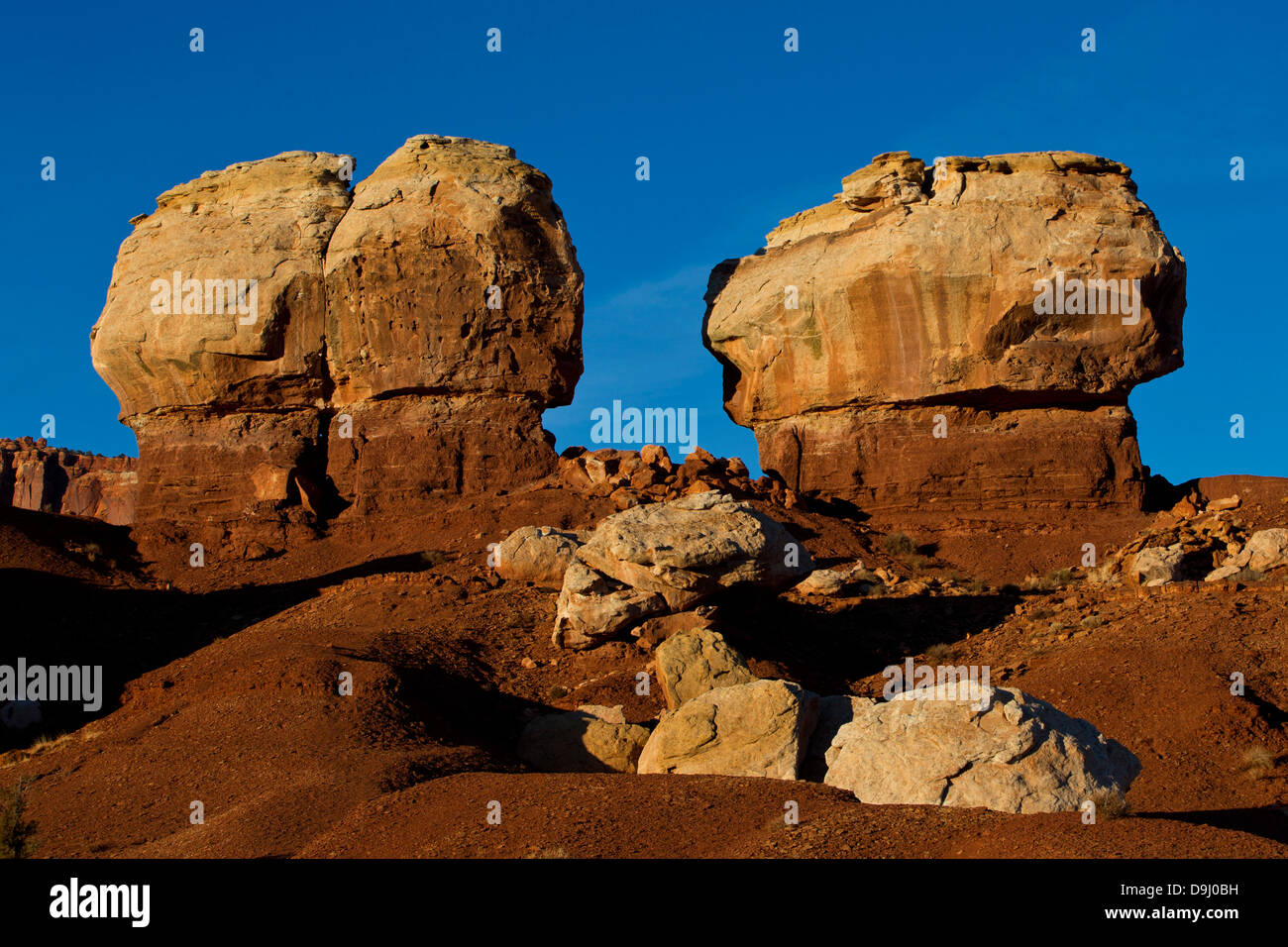 Scogli gemelli nel tardo pomeriggio, Capitol Reef National Park nello Utah, Stati Uniti d'America Foto Stock