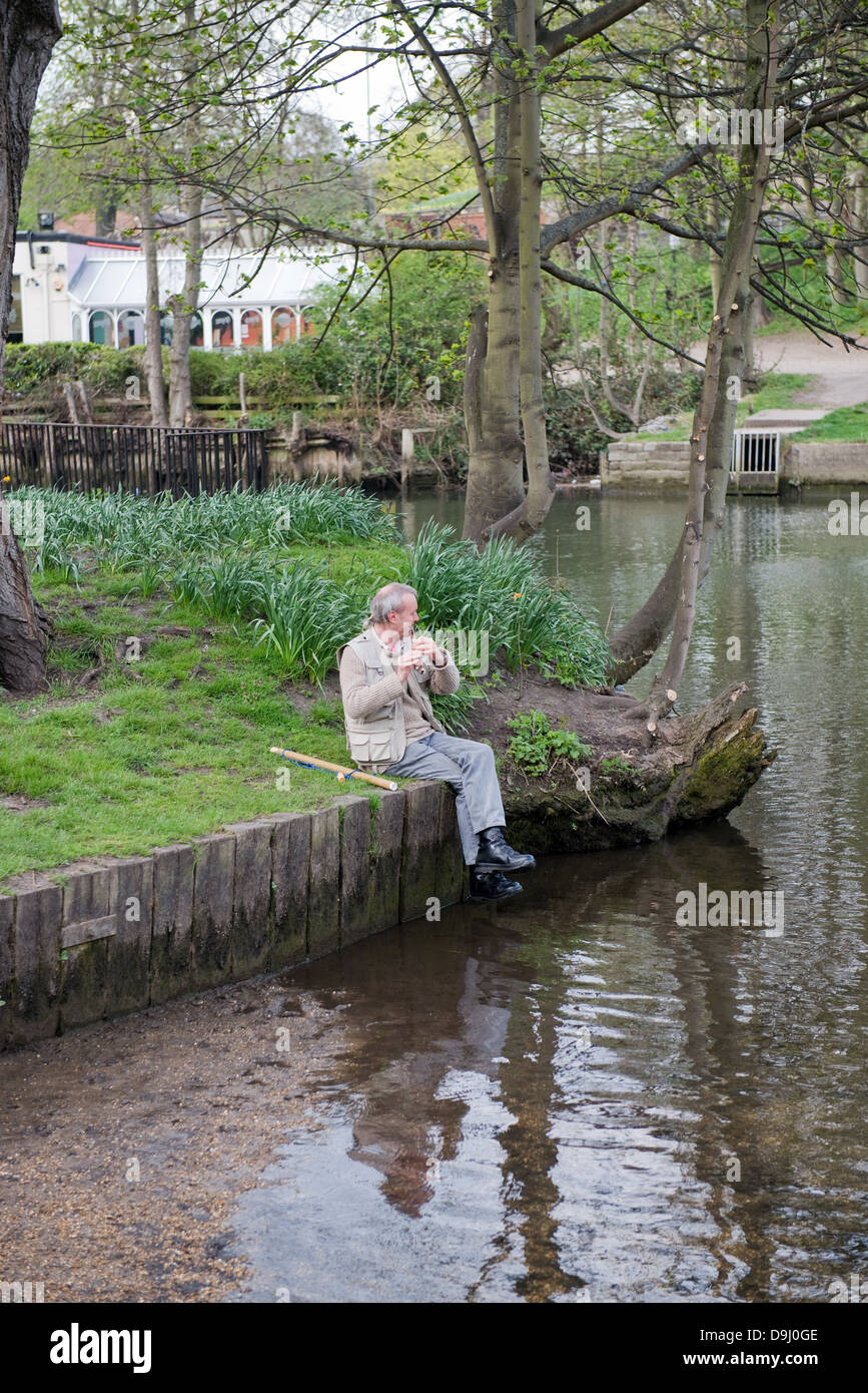 Un lone Piper sulle rive del fiume Wensum, Norwich, Norfolk, Regno Unito Foto Stock