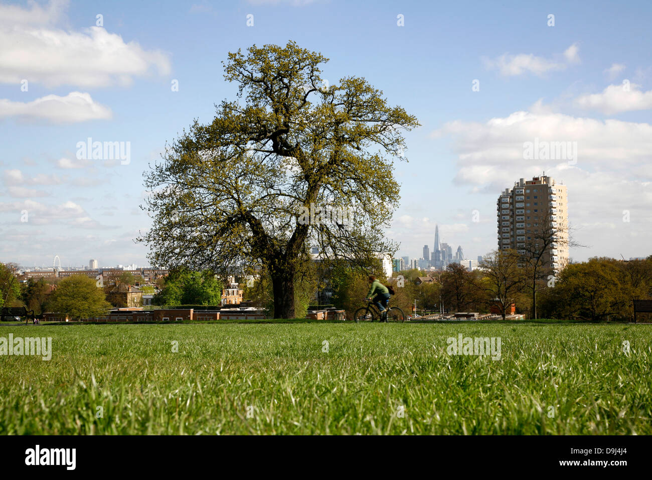 Vista dello Skyline di Shard e la città di Londra da Brockwell Park, London, Regno Unito Foto Stock