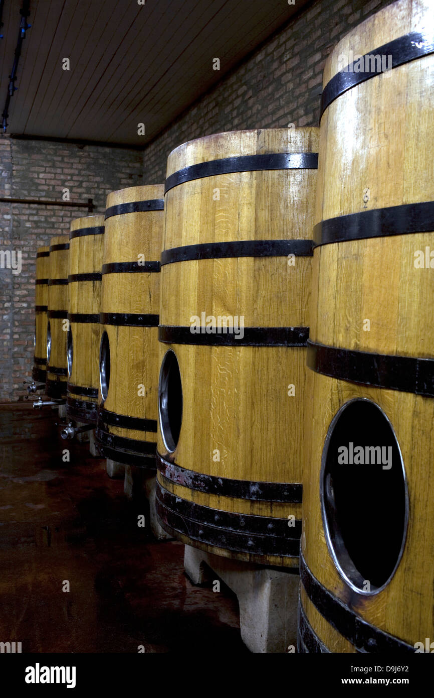 Open-top fermentatori in legno contiene 2 tonnellate di uve Lammershoek cantina Vigna Lammershoek Swartland percorso vinicolo Western Cape Foto Stock