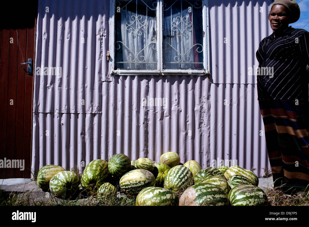 Edith Makote cresce africana di angurie in orto che essa vende alla comunità locale per generare un reddito se stessa Foto Stock