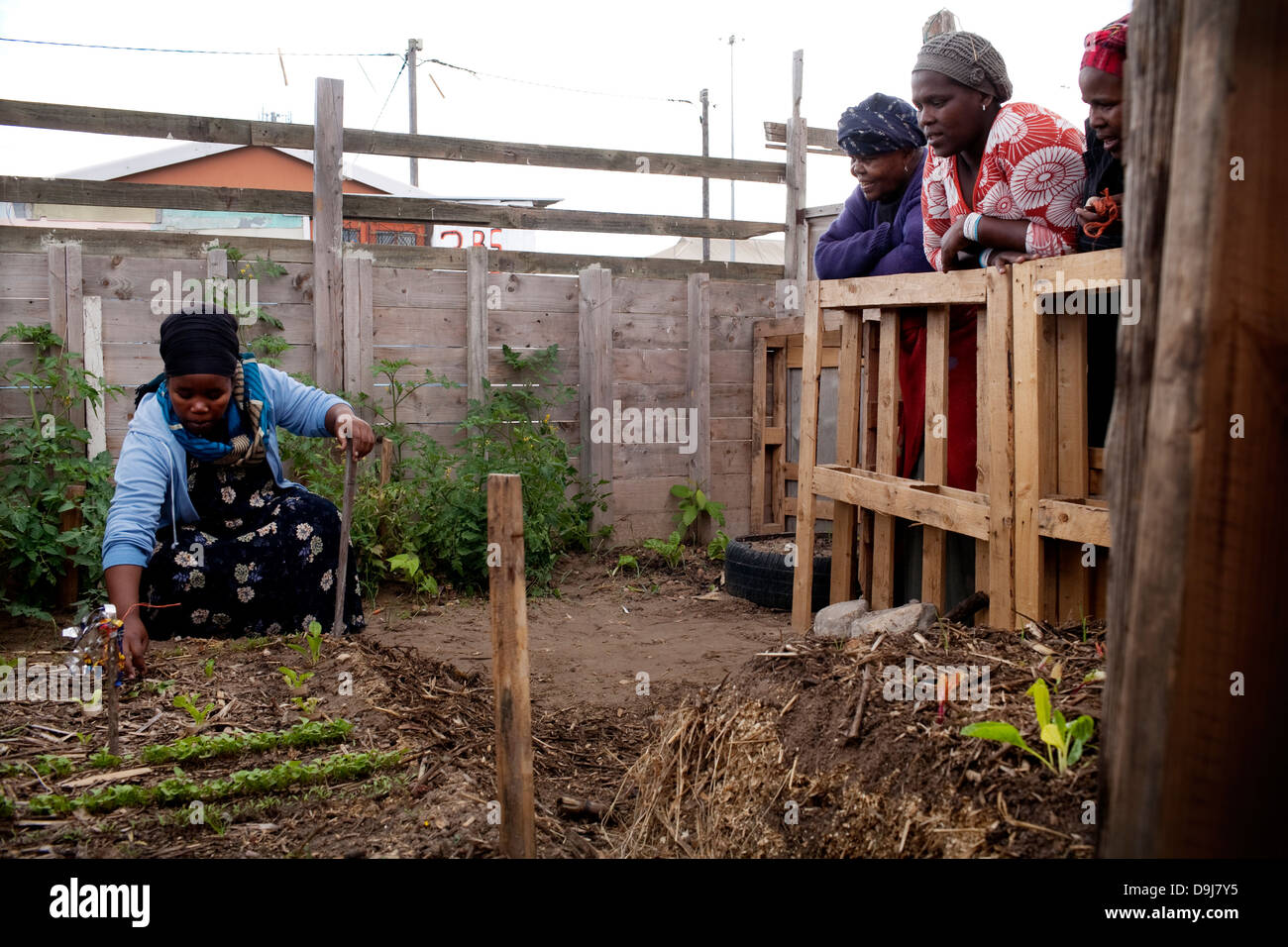 La vita del suolo sessione di formazione della comunità locale in Gugulethu insegnato ai partecipanti le competenze necessarie per creare vegetale organico Foto Stock