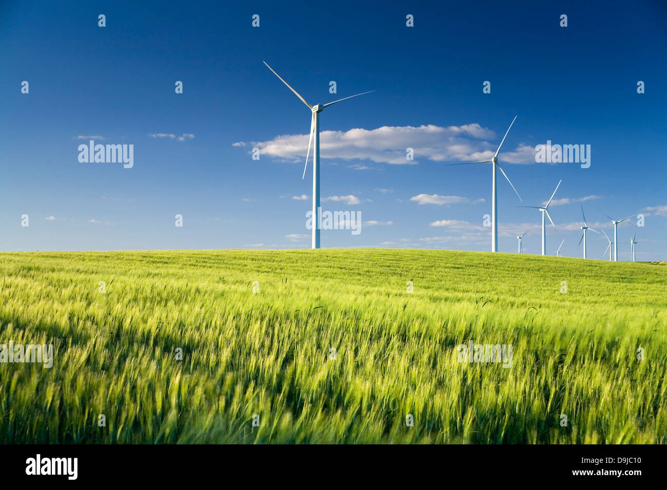 Turbina eolica stazione in un campo. Sanlucar de Barrameda, Cadice, Andalusia, Spagna, Europa Foto Stock