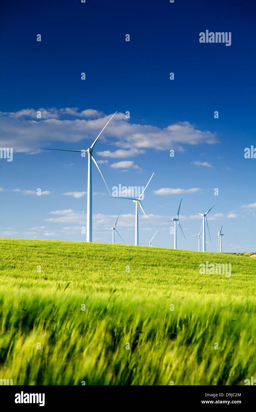 Turbina eolica stazione in un campo. Sanlucar de Barrameda, Cadice, Andalusia, Spagna, Europa Foto Stock
