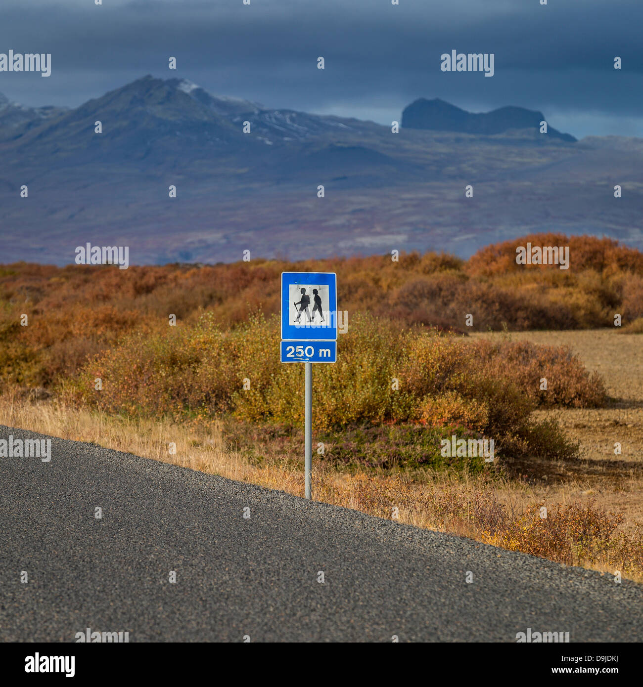 Paesaggio autunnale, Mt. Kolbeinsstadarfjall, Snaefellsnes Peninsula, Islanda. Foto Stock