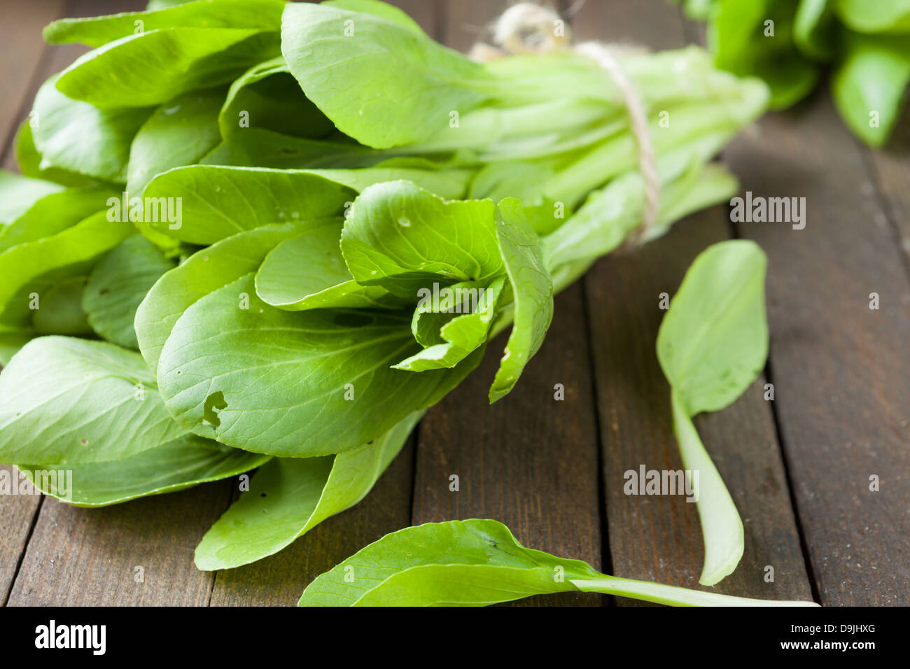 Verdure fresche per insalate, cibo Foto Stock