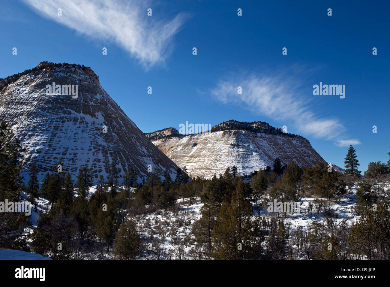 La Checkerboard Mesa ricoperta di neve del Parco Nazionale Zion, Utah, Stati Uniti d'America Foto Stock