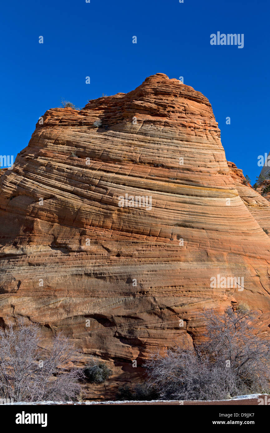 Roccia Arenaria formazione circolare con linee di erosione, Parco Nazionale Zion, Utah, Stati Uniti d'America Foto Stock