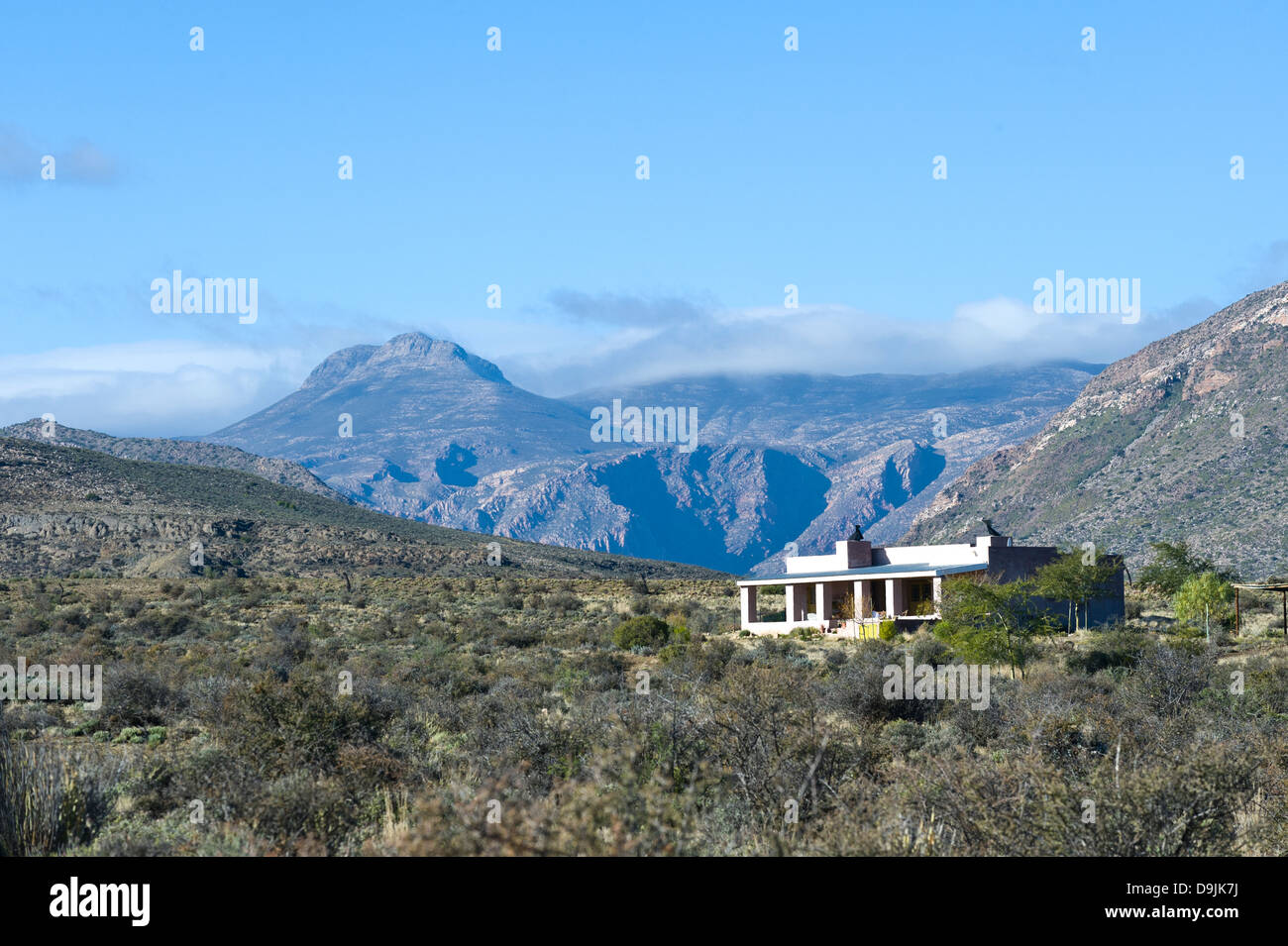 Karoo vegetazione, le montagne e la casa, Prince Albert, Western Cape, Sud Africa Foto Stock