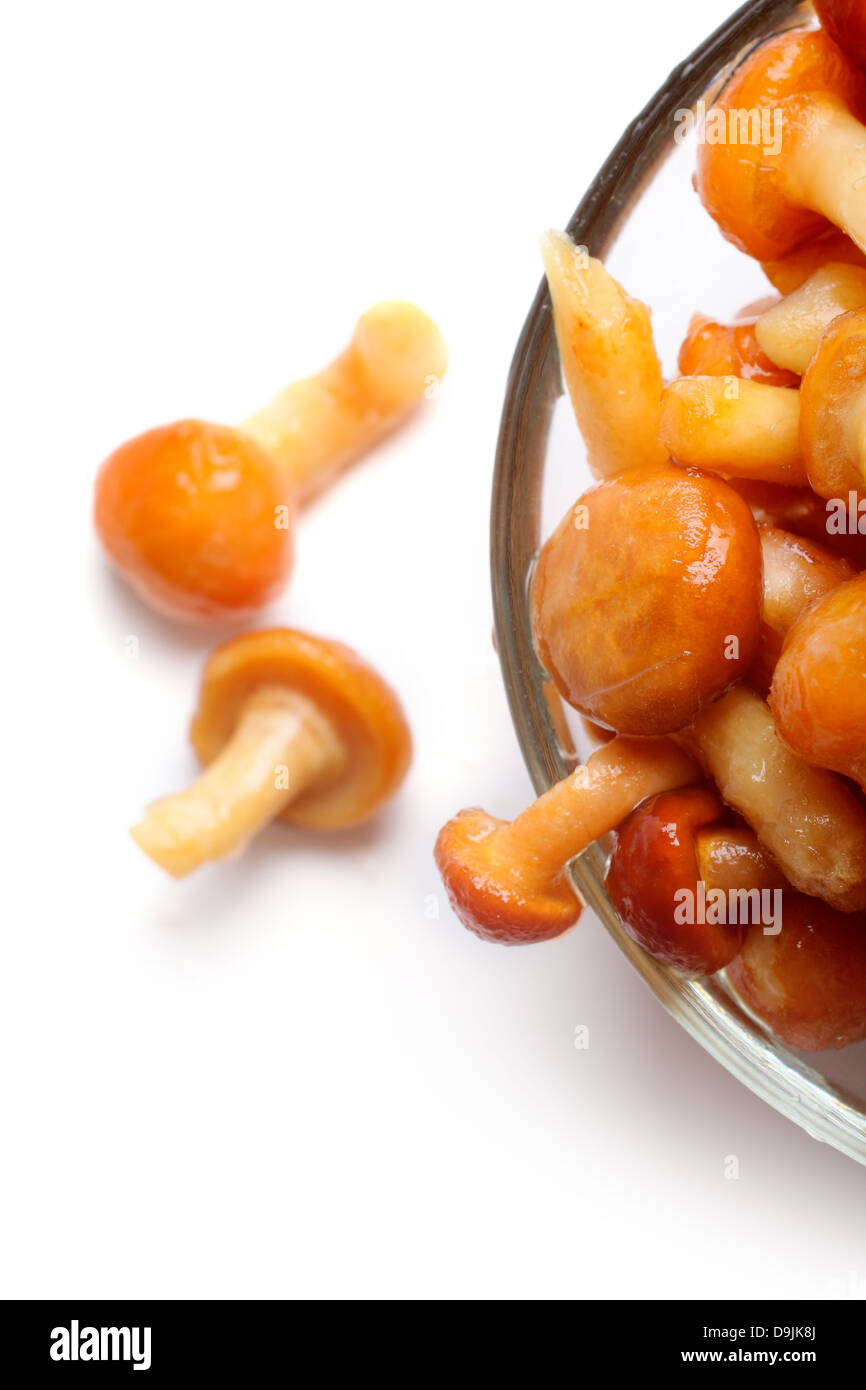 Funghi congelati in una ciotola di vetro, sfondo bianco Foto Stock